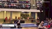 Gabriella Hergert - Women's Group, Altius Gymnastics Academy - 2021 Women's Xcel Region 4 Championships