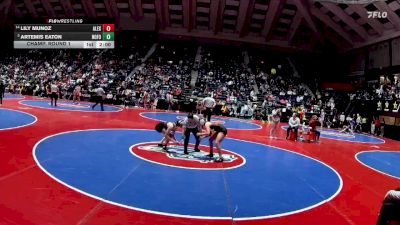 130 lbs Champ. Round 1 - Artemis Eaton, North Forsyth vs Lily Munoz, Alexander