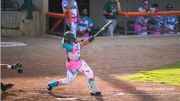 Must-See Baseball Jersey Tracker: PaddleHeads Show Force