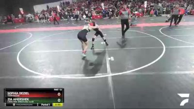 105 lbs Cons. Round 3 - Zia Amershek, Lakeland Wrestling Club vs Sophia DeZiel, Team Nazar