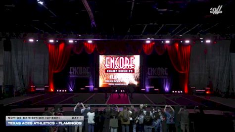 Texas Aces Athletics - Flamingos [2025 Novice Exhibition (Cheer) Day 1] 2025 Encore Grand Nationals
