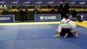 Mark Christopher Hamm vs Evan Francis Selsor 2026 Pan Jiu Jitsu IBJJF Championship