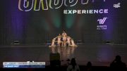The Dance Vault [2025 Tiny - Premier - Contemporary/Lyrical Day 2] 2025 Encore Grand Nationals