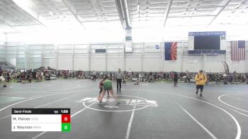 136 lbs Semifinal - Marissa Palmer, Stout Wrestling Academy vs Jenna Wayman, Mohave WC