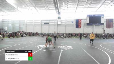 136 lbs Semifinal - Marissa Palmer, Stout Wrestling Academy vs Jenna Wayman, Mohave WC