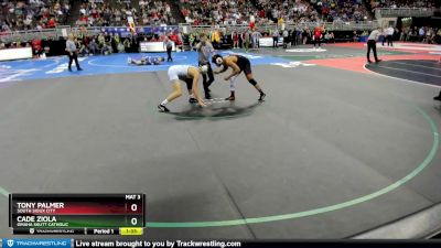 Semifinal - Cade Ziola, Omaha Skutt Catholic vs Tony Palmer, South Sioux City