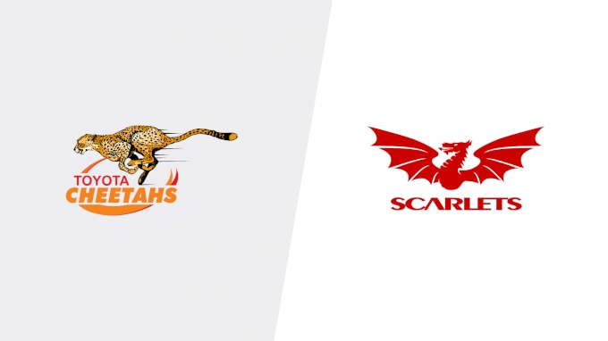 Scarlets vs Toyota Cheetahs