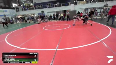 106 lbs Cons. Round 2 - Cole Wells, Grizzly Wrestling Club vs Uriah Roeck, Virginia Beach