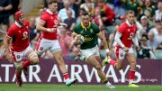 Jesse Kriel Try | South Africa vs Wales | 2024