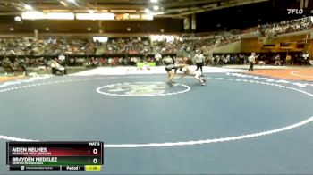 120 lbs Champ. Round 1 - Aiden Nelmes, Mountain View, Oregon vs Brayden Medelez, Hermiston Oregon