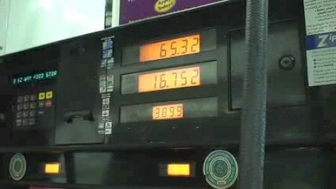 And the trip begins.....with some new friends along the way!