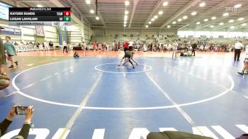 80 lbs Quarterfinal - Kayden Rands, Team Michigan vs Logan Lakhlani, Ohio Gold