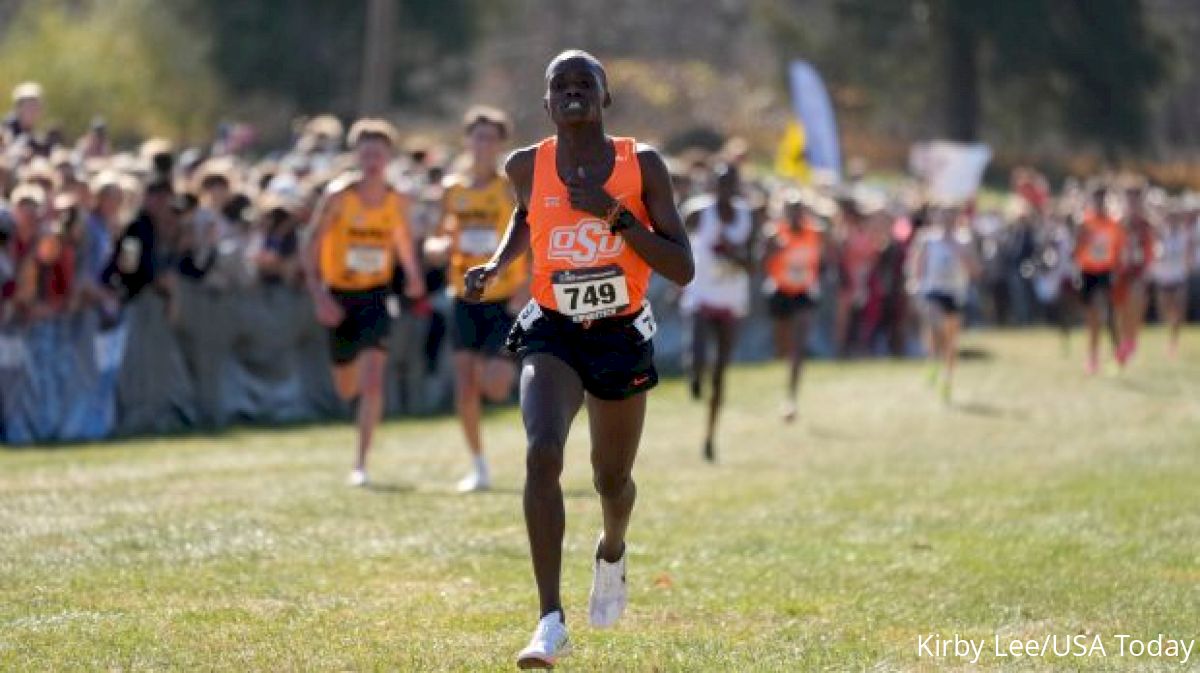 The Top Five NCAA Men's Teams To Watch In This Cross Country Season