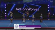 Avalon Wolves - Southeast [2024 Mid Florida Pop Warner Tuesday] 2024 Pop Warner National Cheer & Dance Championship
