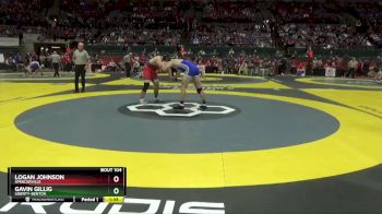 D3-215 lbs Champ. Round 1 - Logan Johnson, Spencerville vs Gavin Gillig, Liberty-Benton