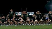 Springboks Vs. All Blacks: Watch New Zealand Rugby Do The Haka