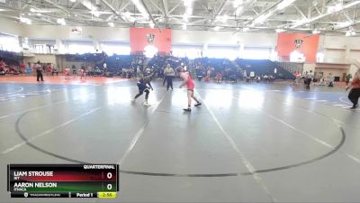 165 lbs Quarterfinal - Liam Strouse, RIT vs Aaron Nelson, Ithaca