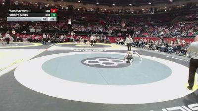 113 lbs Cons. Semis - Chance Wuhr, Lake Cath. vs Bodey Gibbs, Columbia