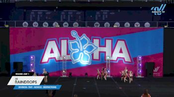 3E - Raindrops [2025 L1 Tiny - Novice - Restrictions Day 1] 2025 Aloha Pittsburgh Showdown