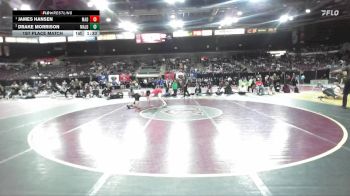 157 lbs 1st Place Match - James Hansen, Madison vs Drake Morrison, Malad