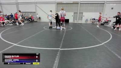 157 lbs Placement Matches (8 Team) - Mason Butler, Tennessee vs Dominic Joppa, Louisiana Red