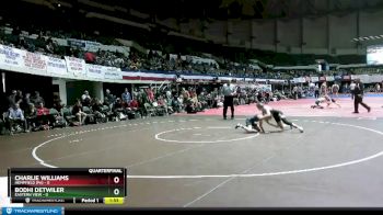 106 lbs Quarterfinals (16 Team) - Bodhi Detwiler, Eastern View vs Charlie Williams, Hempfield (PA)