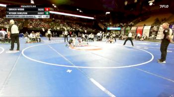 132 Class 3 lbs Semifinal - Brock Webb, Pacific vs Ryder Shelton, Kearney
