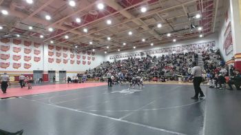 138 lbs 3rd Place Match - Ashton Besmer, Buchanan vs Liston Seibert, Massillon Perry