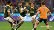 PREVIEW | Rassie's Boks Looking To Blunt Razor's All Blacks At Ellis Park