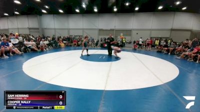 132 lbs Round 2 (8 Team) - Sam Herring, Pennsylvania vs Cooper Nally, Missouri