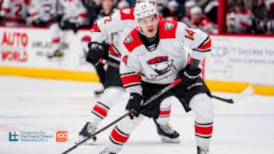 How To Watch Charlotte Checkers Hockey In 2024 On AHL TV