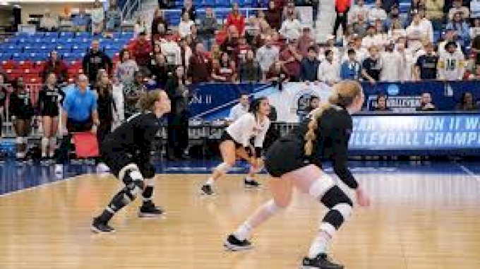 NCAA Division II Volleyball Rankings in Week 2