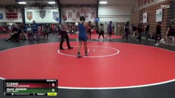 126 lbs Round 5 - CJ Davis, Notre Dame, Burlington vs Isaac Aragon, West Liberty