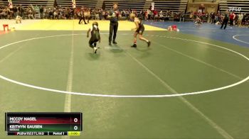 105 lbs Champ. Round 1 - Keithyn Gausen, Roseau vs McCoy Nagel, Perham