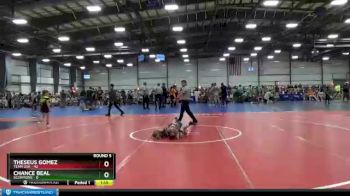 48 lbs Round 5 - Theseus Gomez, Team USA vs Chance Beal, Scorpions