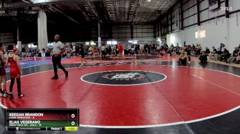 60 lbs Round 4 (6 Team) - Elias Vegerano, GREAT NECK WC - GOLD vs Keegan Brandon, CLINIC WRESTLING