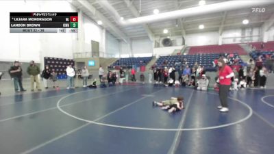 39 lbs Quarterfinal - Landon Brown, Iron County Wrestling Academy vs Liliana Mondragon, Ravage