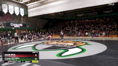 141 lbs Ethan Mitchell, Cleveland State vs Jacob Brya, Northern Illinois