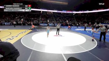 I-101 lbs Champ. Round 2 - Marcarlo Mannello, Briarcliff-Byram Hills-Valhalla-Westlake vs Andrew Uszenski, Valley Central