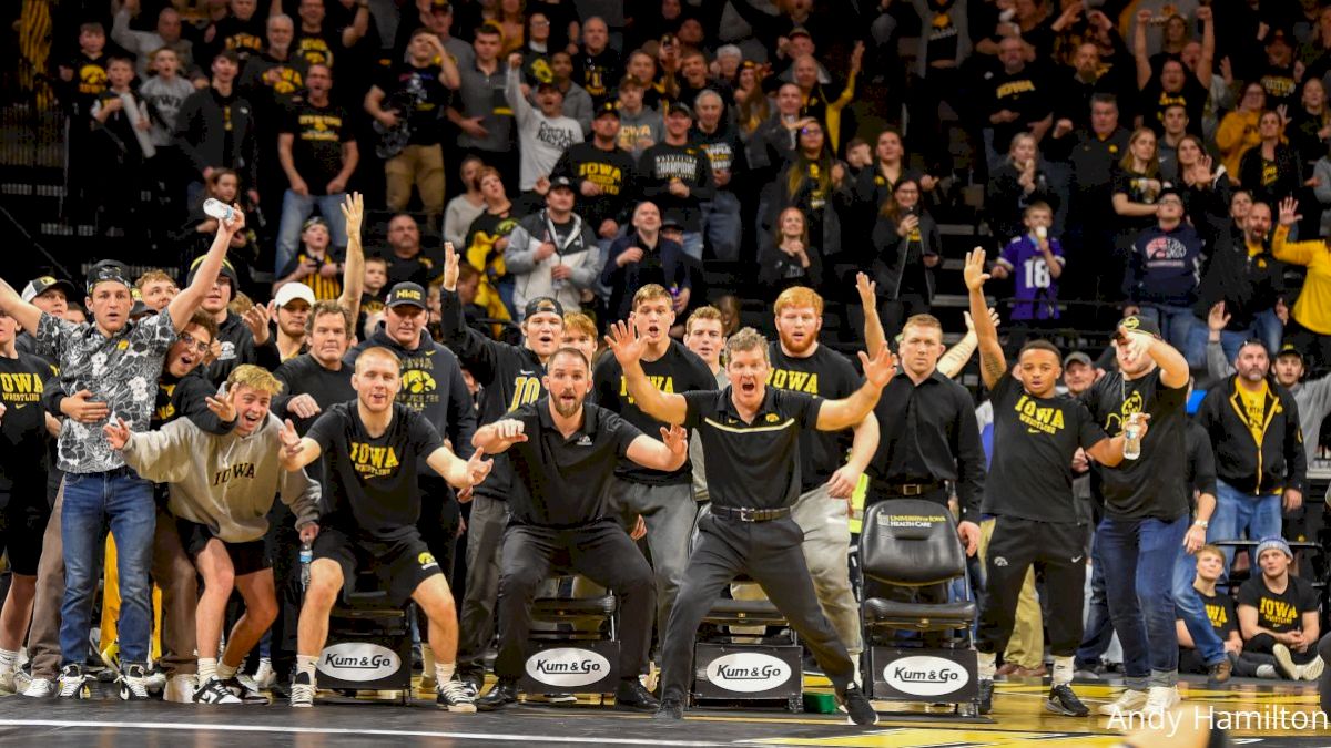 Why Does Iowa Wrestling Have So Many Fans?