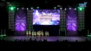 Dance Dynamics - Mini Elite Large Jazz [2025 Mini - Jazz - Large Day 2] 2025 JAMfest Dance Super Nationals