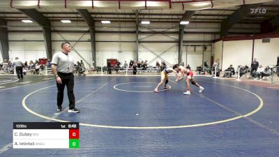 133 lbs Consi Of 16 #2 - Christopher Dubey, Bridgewater vs Antonio Intintoli, Western New England