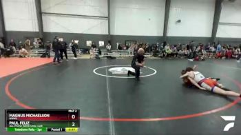 132 lbs Cons. Round 3 - Paul Feliz, All-Phase Wrestling Club vs Magnus Michaelson, NWWC