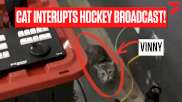 GOTTA SEE IT: Cat Interrupts Hockey Broadcast In The PJHL