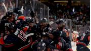 How To Watch Coachella Valley Firebirds Hockey In 2024 On AHL TV