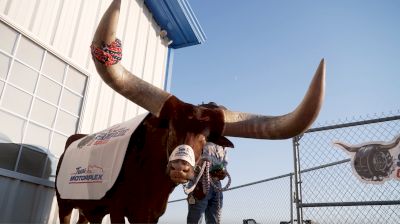 Meet The Stampede of Speed Mascot, Oliver The Watusi Bull