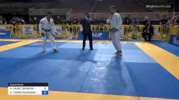 AUSTIN CAINE ORANDAY vs ANDY TOMAS MURASAKI PEREIRA 2020 Pan Jiu-Jitsu IBJJF Championship