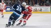 Grand Rapids Griffins Vs Manitoba Moose Free Stream: What To Know