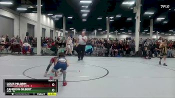 56 lbs Round 1 (10 Team) - Louis Milgrim, Finger Lakes Elite White vs Cameron Gilbert, ACES