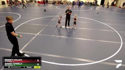 45 lbs Round 1 (6 Team) - Bennett Hallich, St. Francis vs Bowen Connelly, New Prague